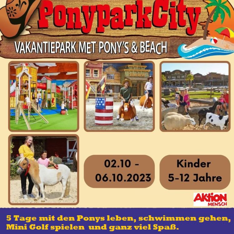 Pony City Pony City